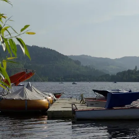 Seeblick In Schwarzwald * Feldberg (Baden-Wurttemberg)