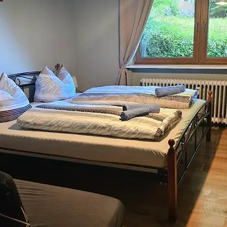 Seeblick In Schwarzwald Feldberg (Baden-Wurttemberg)