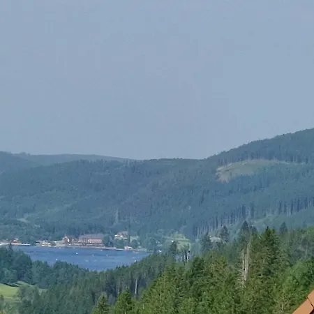 Seeblick In Schwarzwald *